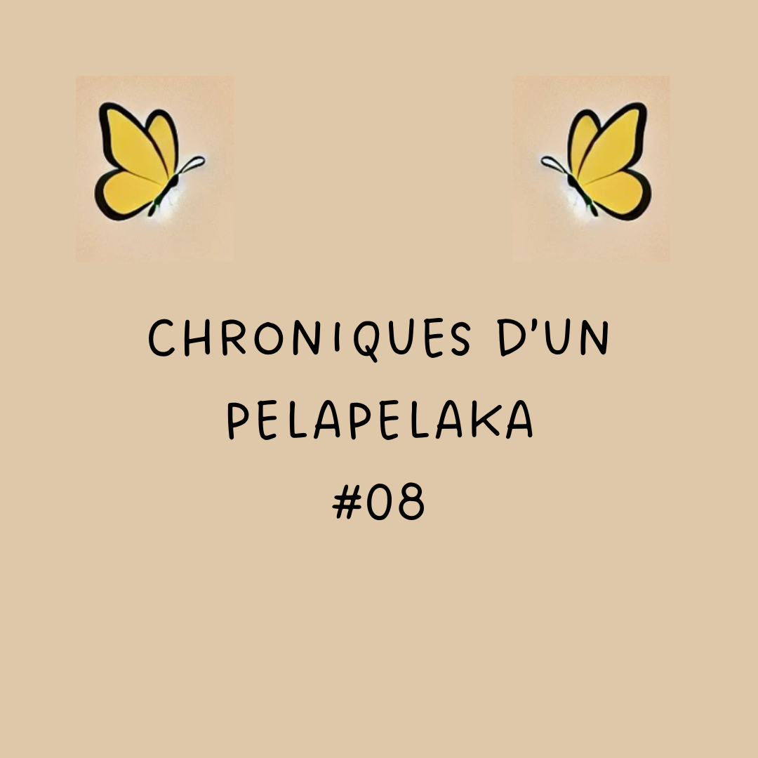 Les Chroniques Pelapelaka 08 - Après Chido, la triple peine de la pseudo-résilience